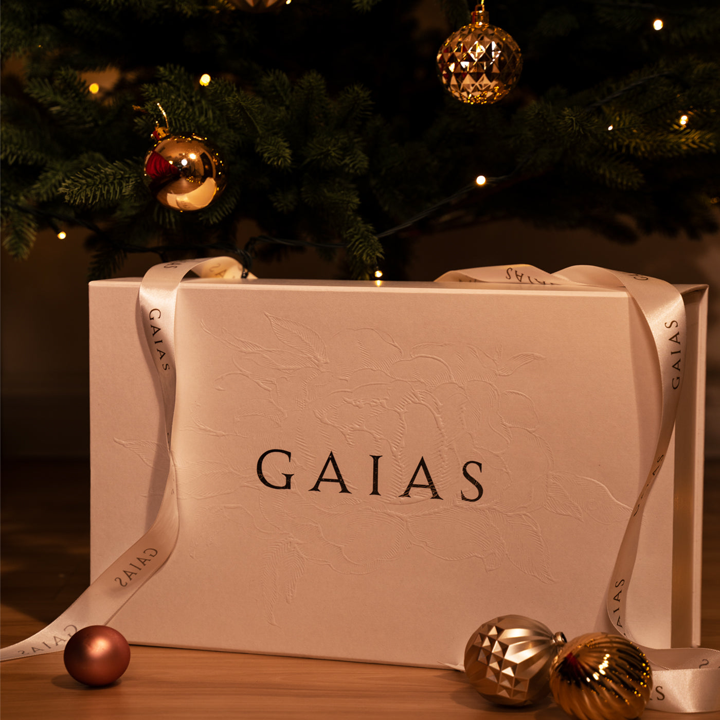 🎁 GAIAS 2024 Christmas Gift Box (100% off)